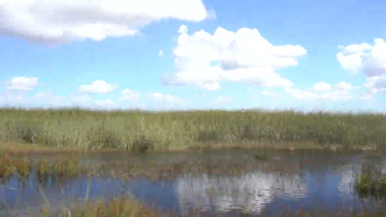 Coopertown Everglade 2