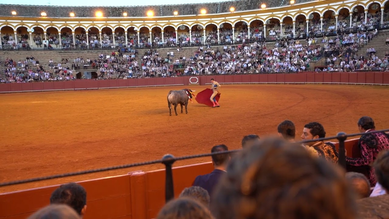 Bullfight 6