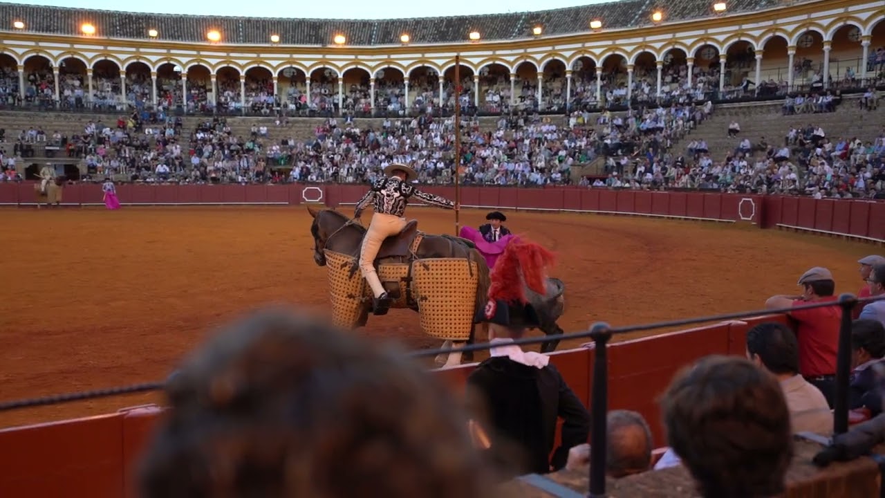 Bullfight 2