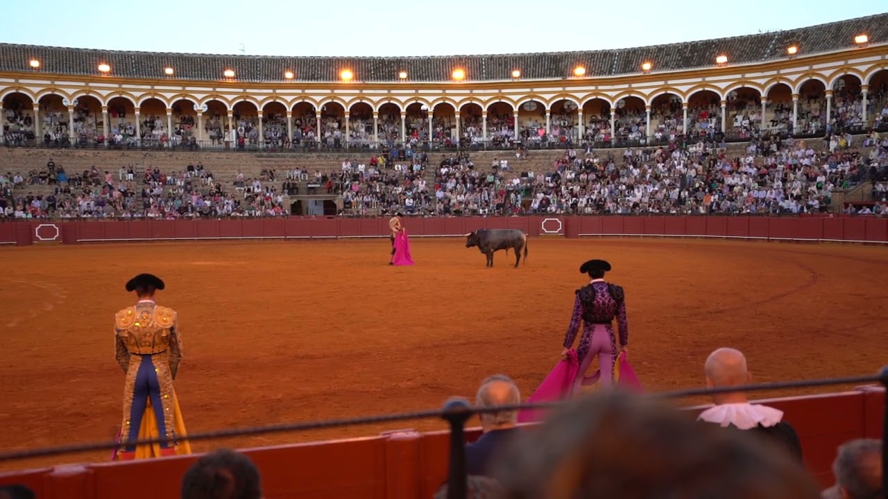Bullfight 3
