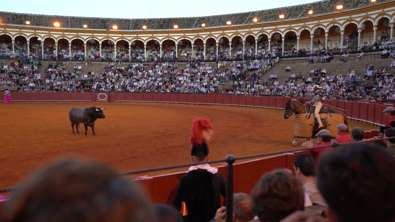 Bullfight 1