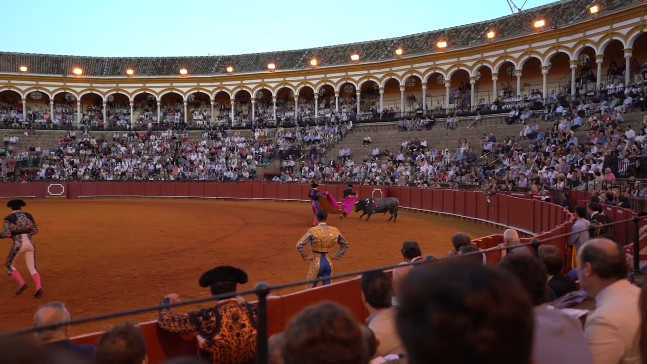 Bullfight 5