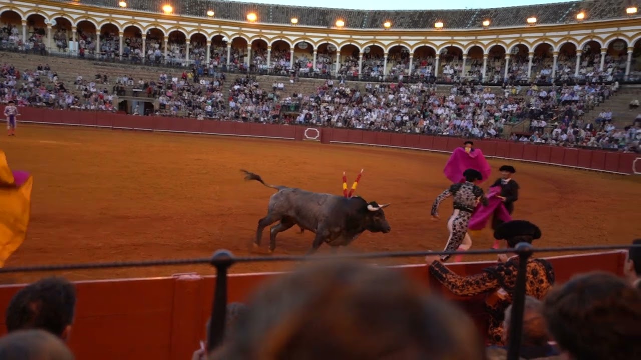 Bullfight 4