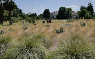 Huntington Library Garden, Pasadena, California, USA