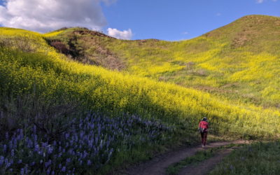 Dr. Mario A. DeCampos Hiking Trail, Granada Hills, California, USA