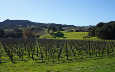 Santa Barbara Wine Country