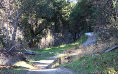 Placerita Canyon State Park Hiking, Newhall, California, USA