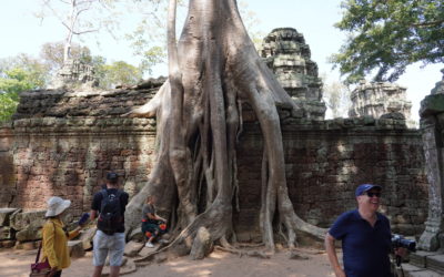 Siam Reap, Cambodia – Angkor Wat Tour: Angkor Wat, Ta Prohm Temple, Angkor Thom (Bayonet Temple), and Phenom Bakheng.