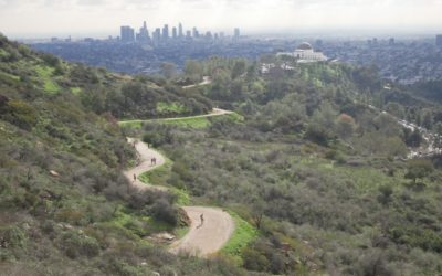 Griffith Park Hiking, Los Angeles, California, USA