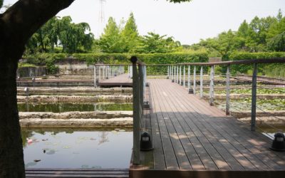 Seonyudo Park, Jeoldusan Martyrs’ Shrine, Yanghwajin Foreign Missionary Cemetery, and Mangwon Market in Seoul