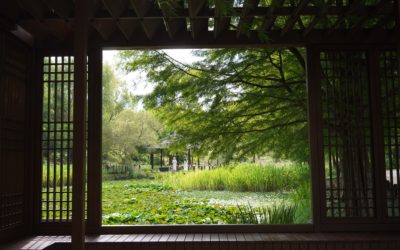 Jeonju Innocity, Deokjin Park, and Arboretum, South Korea