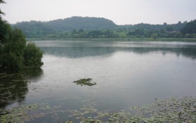 Suwon Gwanggyo Lake Park and Gwongwang-ro 187 beon-gil, South Korea
