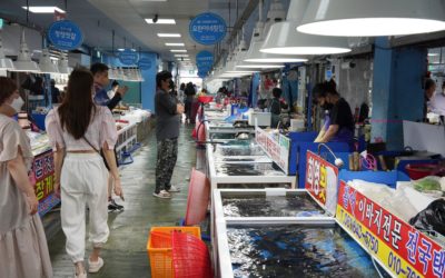 Yeosu City and Fish Market, South Korea