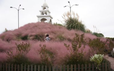 Jeju Herb Garden, South Korea