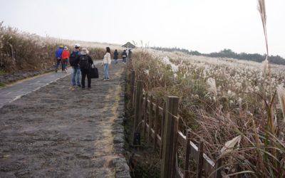 Jeju-do Sangumburi, South Korea