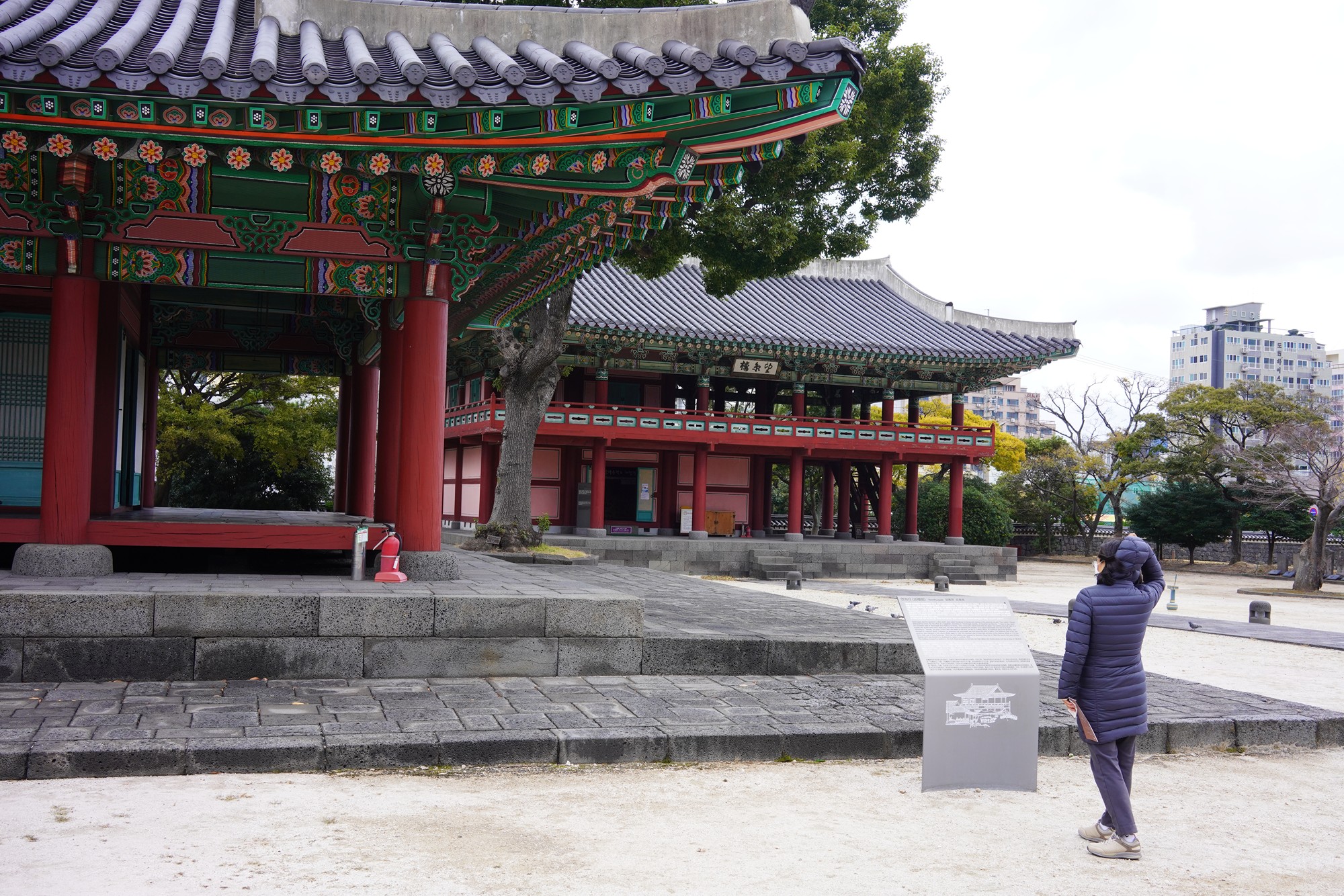 Jeju-do Jeju-mok Government Office, Walk on Onedosim Area, Chilseong-ro Shopping Area, and Dongmun Traditional Market, South Korea