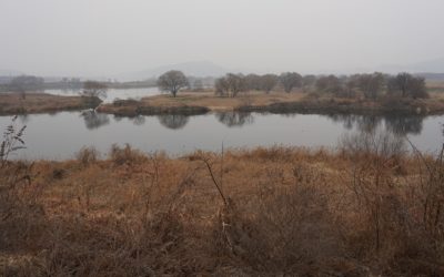 Daegu Arboretum, Samunjin Jumagchon, and Dalseong Wetland, South Korea