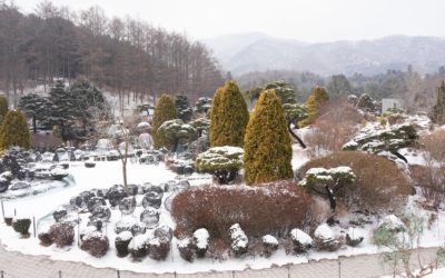 Gapyeong  Garden of Morning Calm, South Korea