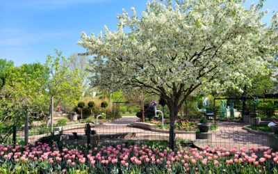 Frederik Meijer Gardens & Sculpture Park, Grand Rapids, Michigan, USA