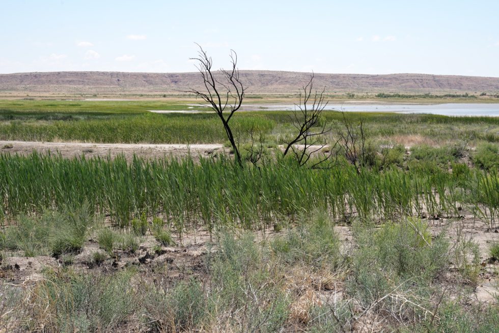 Bitter Lake National Wildlife Refuge, Roswell, New Mexico, USA - See ...