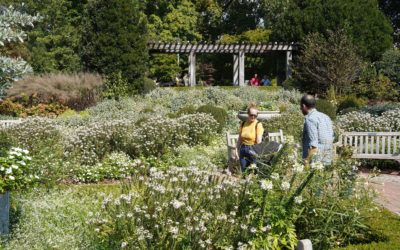 Atlanta Botanical Garden, Atlanta, Georgia, USA