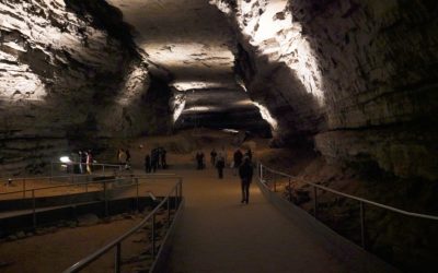 Mammoth Cave National Park, Mammoth Cave, Kentucky, USA