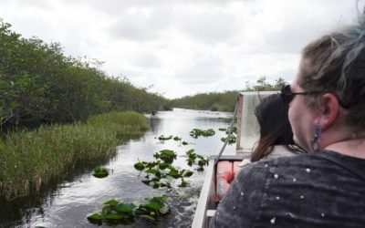 Coopertown Airboat Tour, Miami, Florida, USA