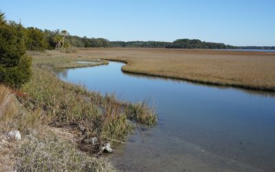 Pinckney Island National Wildlife Refuge, Bluffton, South Carolina, USA