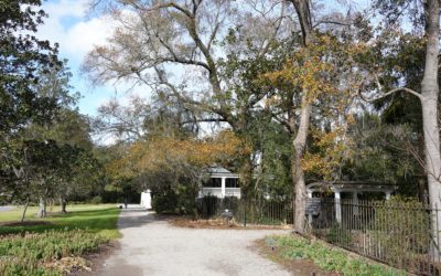 Magnolia Plantation, Summerville, South Carolina, USA