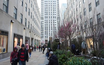 Rockefeller Center and St Patricks Cathedral, New York, USA