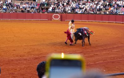 Bullfighting, Seville, Spain