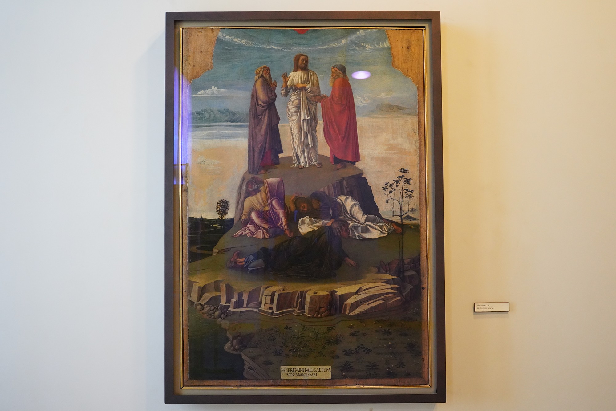 Museo Correr (111)
