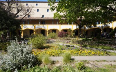 Arles Walk, France