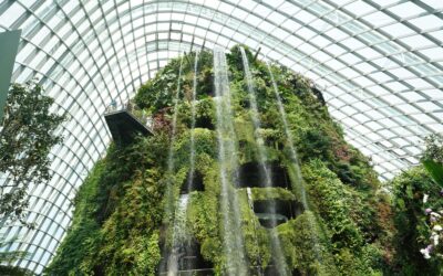 Floral Fantasy, Cloud Forest and Lau Pa Sat Hawk Center, Singapore