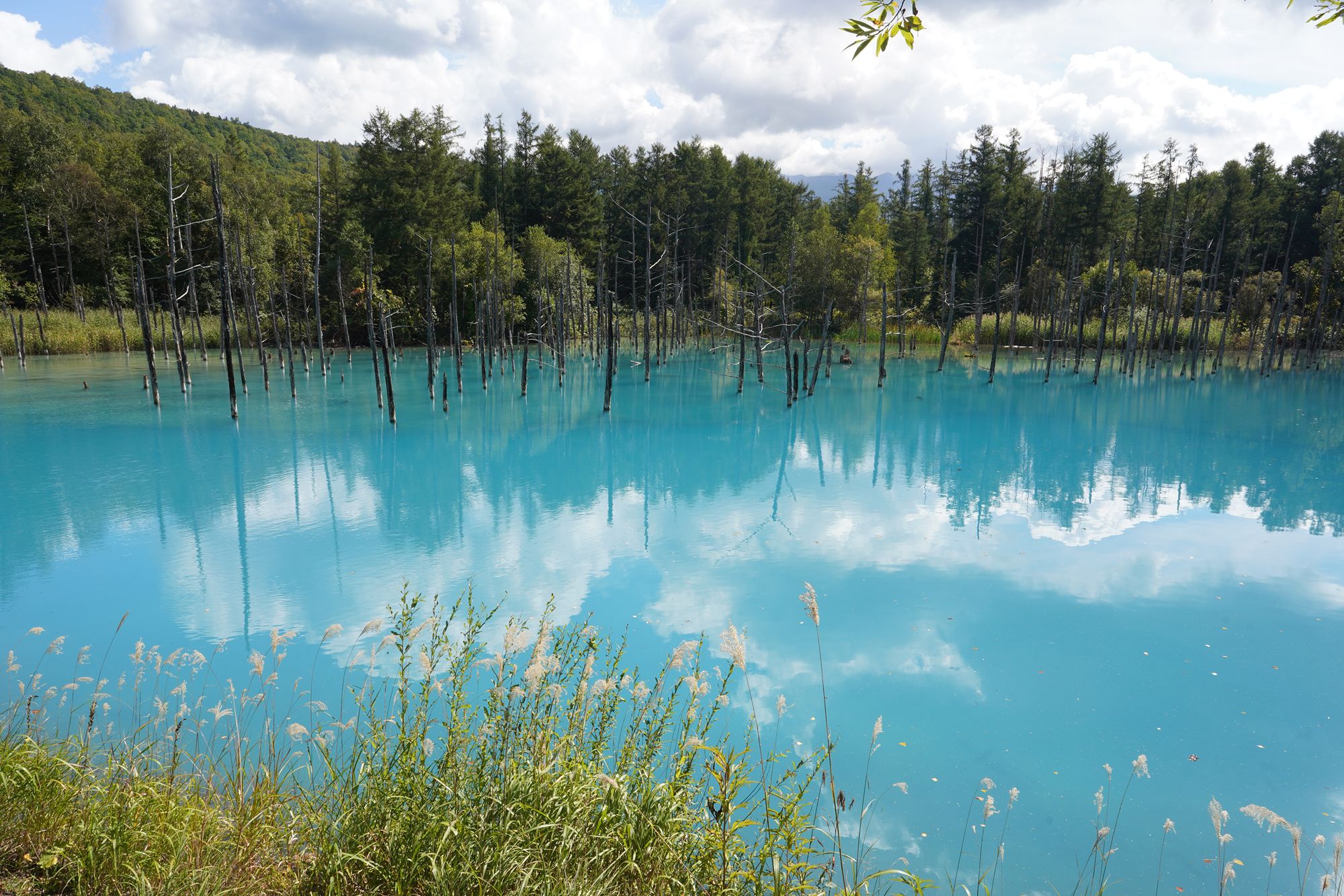 Biei and Furano, Hokkaido, Japan