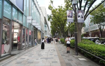 Takeshita Street, Meiji Jingu, Omotesando, and Cat Street, Tokyo, Japan