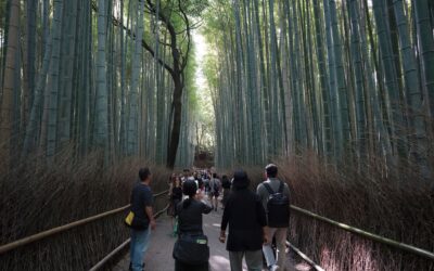 Arashiyama Bamboo Forest, Tenryu-ji Temple and Togetsukyō Bridge, Kyoto, Japan