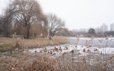 Ilsan Lake Park, Ilsan, South Korea