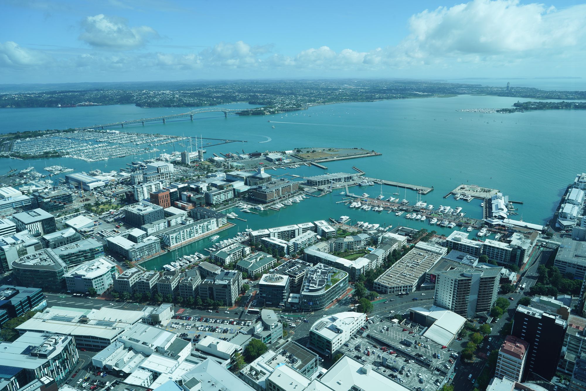 Aukland Walk 2, New Zealand
