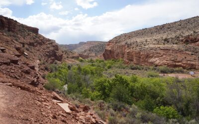 Capital Reef – First Day, Utah