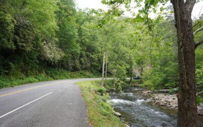 Great Smoky Mountains National Park – Cades Cove Scenic Loop, Tennessee, USA