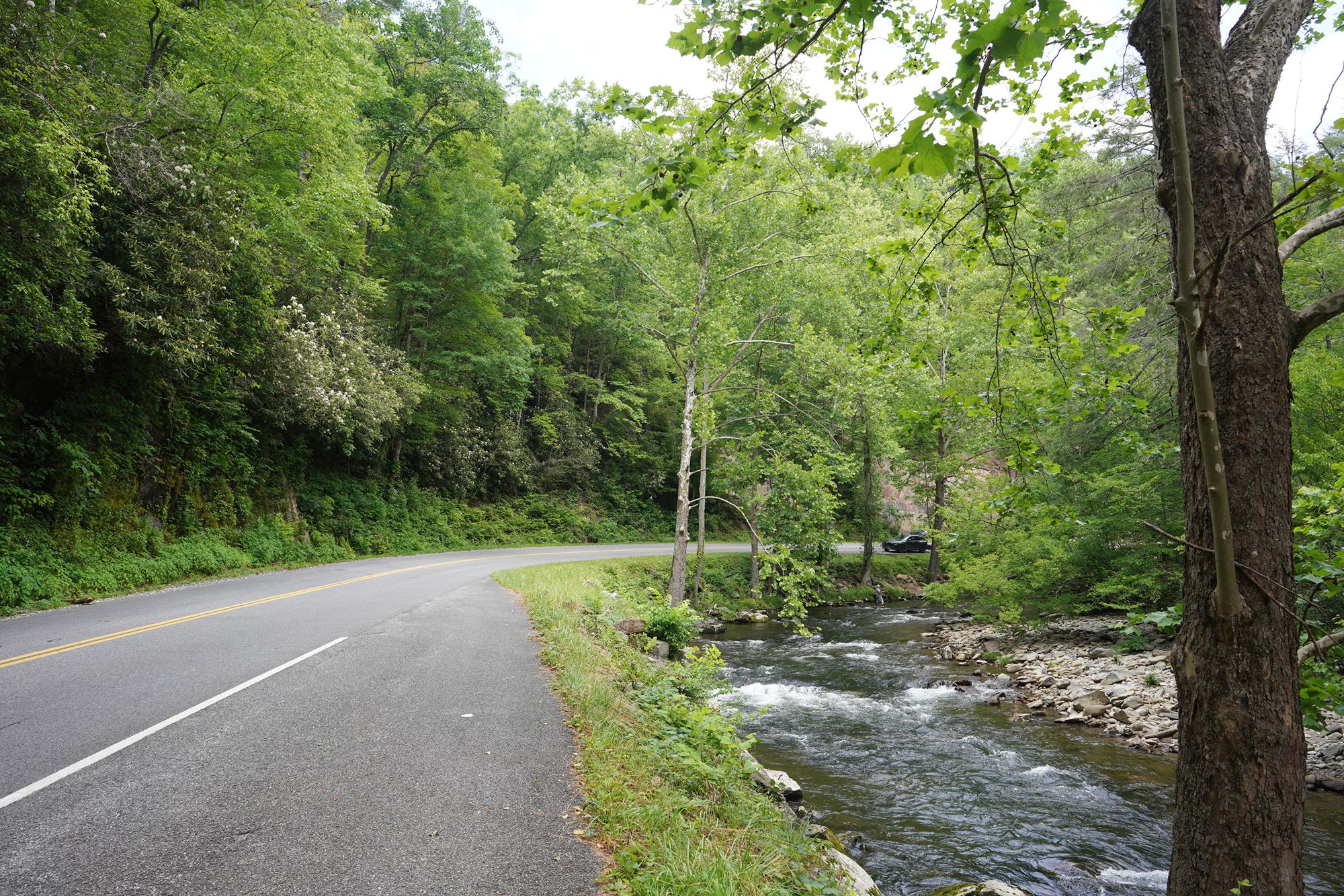 Great Smoky Mountains National Park – Cades Cove Scenic Loop, Tennessee, USA