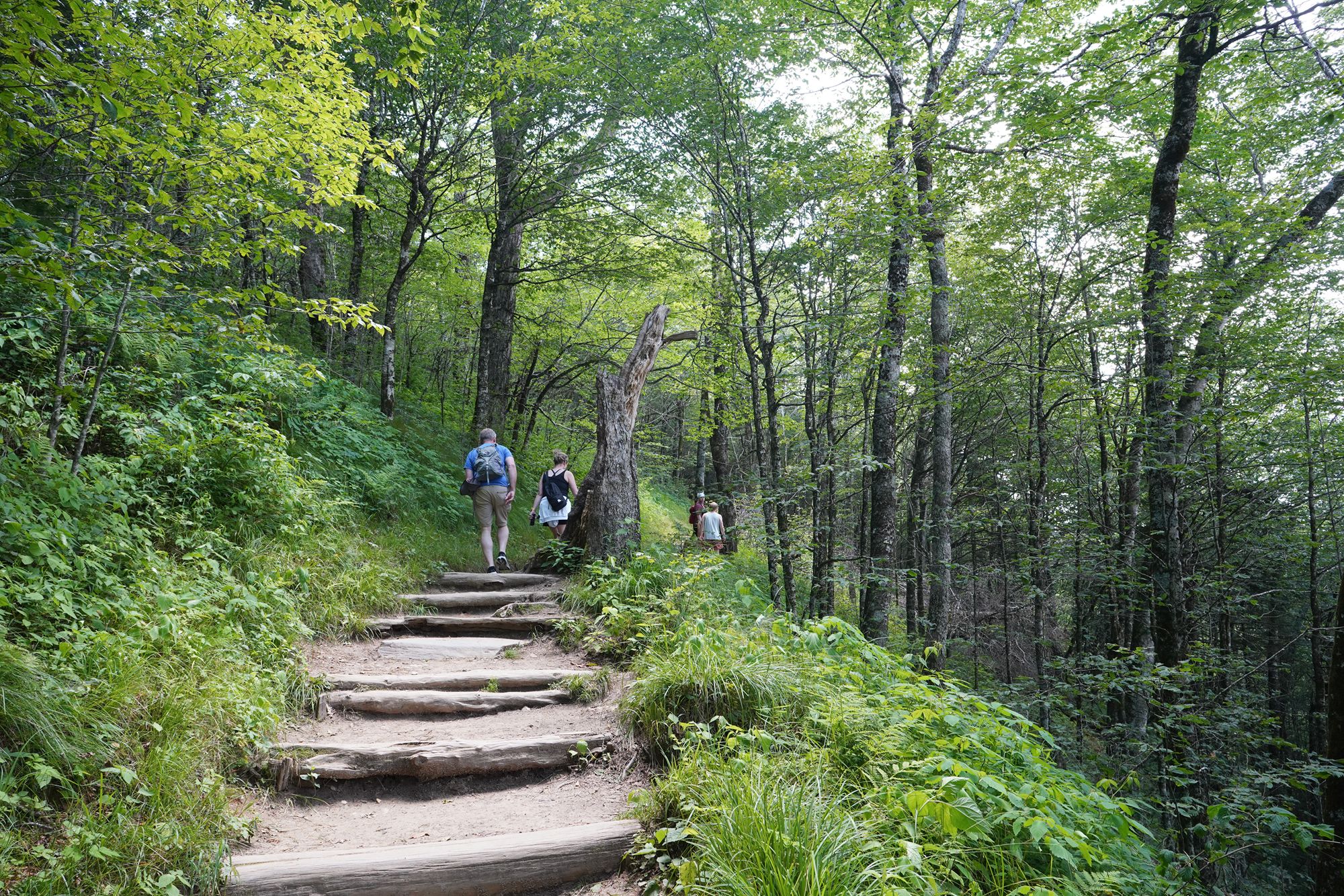 Great Smoky Mountains National Park – Newfound Gap and Clingman’s Dome, Tennessee, USA
