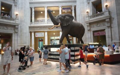 National Museum of Natural History – Life on the Earth, Washington DC, USA