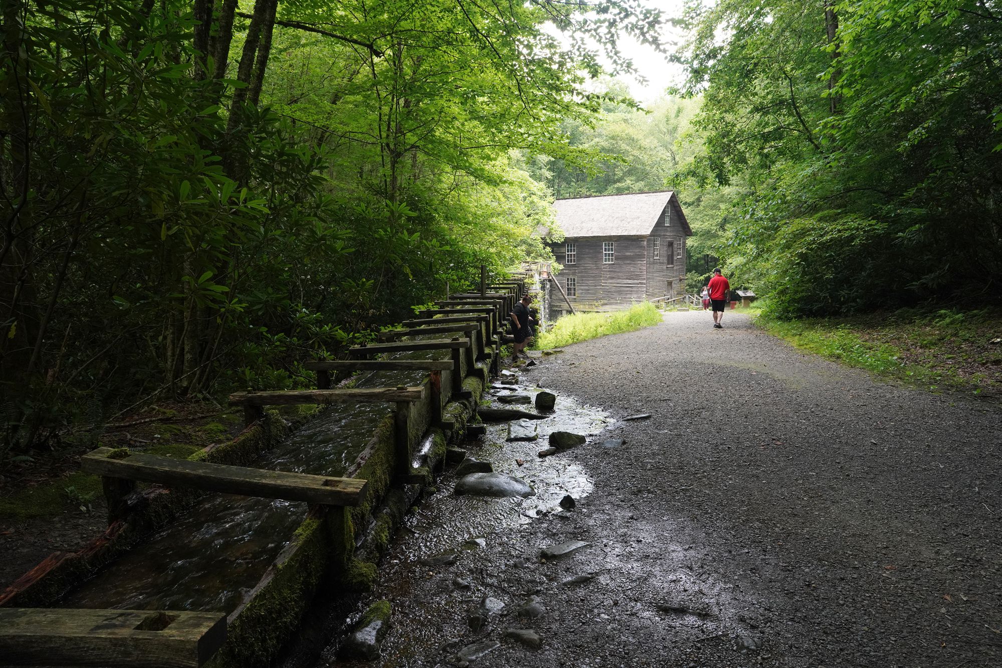 Great Smoky Mountain National Park - Newfound Gap Road, Oconaluftee ...
