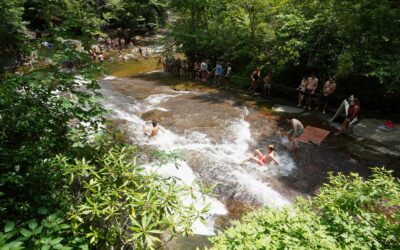 Pisgah National Forest and Asheville, North Carolina, USA
