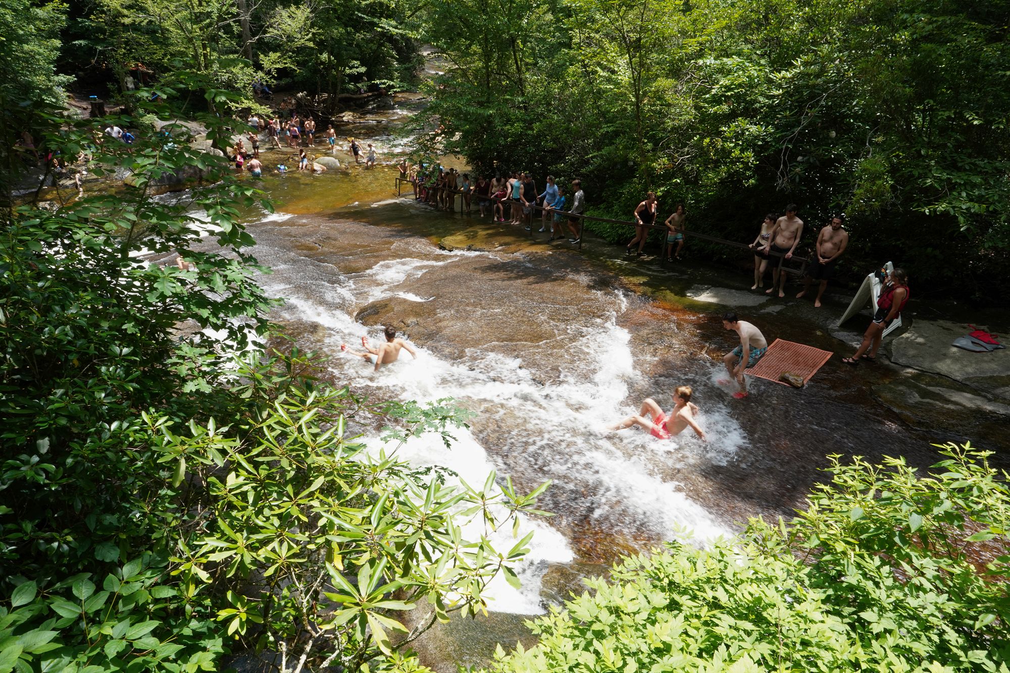 Pisgah National Forest and Asheville, North Carolina, USA