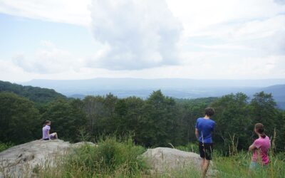 Skyline Drive, Virginia, USA