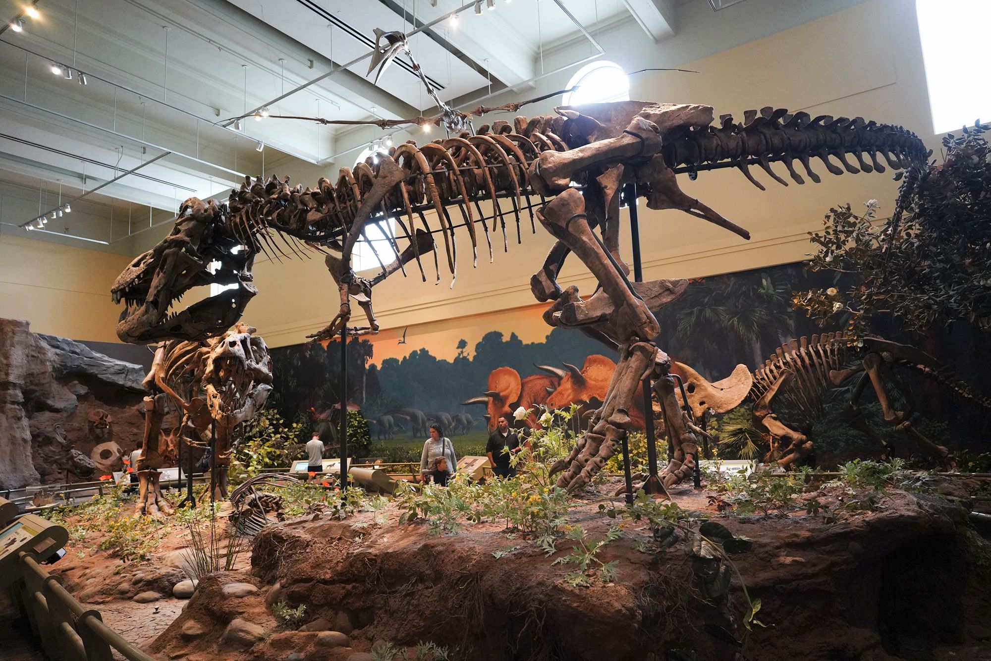 Carnegie Museum of Art – Dinosaurs, Minerals, and Architectural Casts, Pittsburgh, Pennsylvania, USA