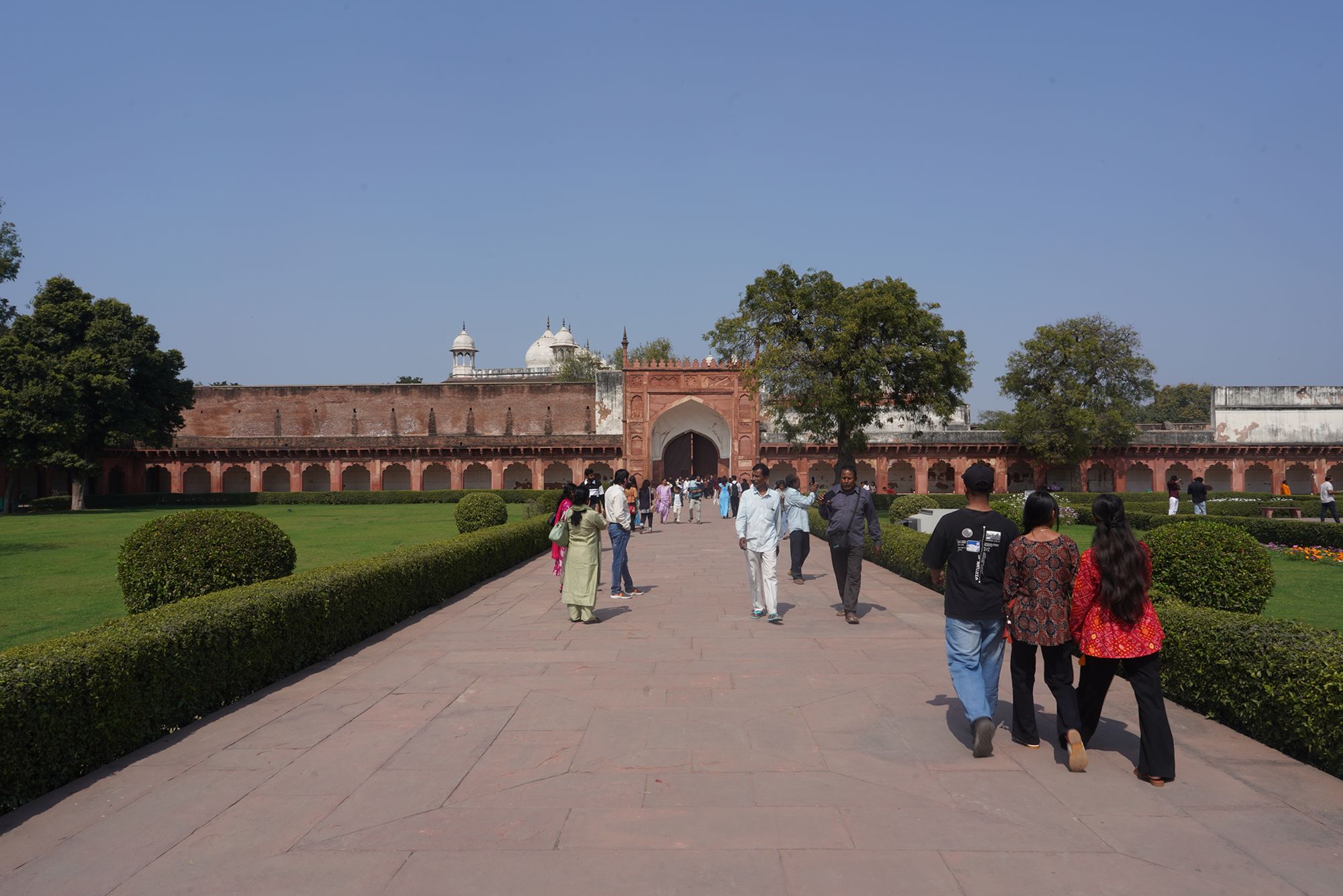 Agra Fort (101)